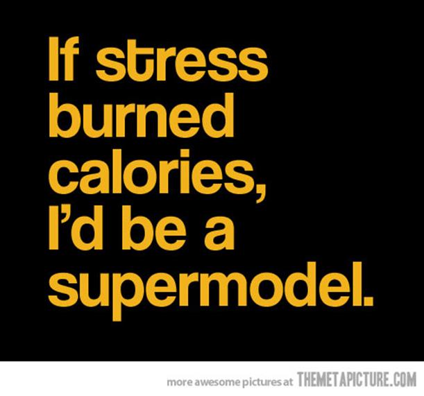 http://www.shesaidineedagoal.com/wp-content/uploads/2013/03/funny-stress-quote-burn-calories.jpg