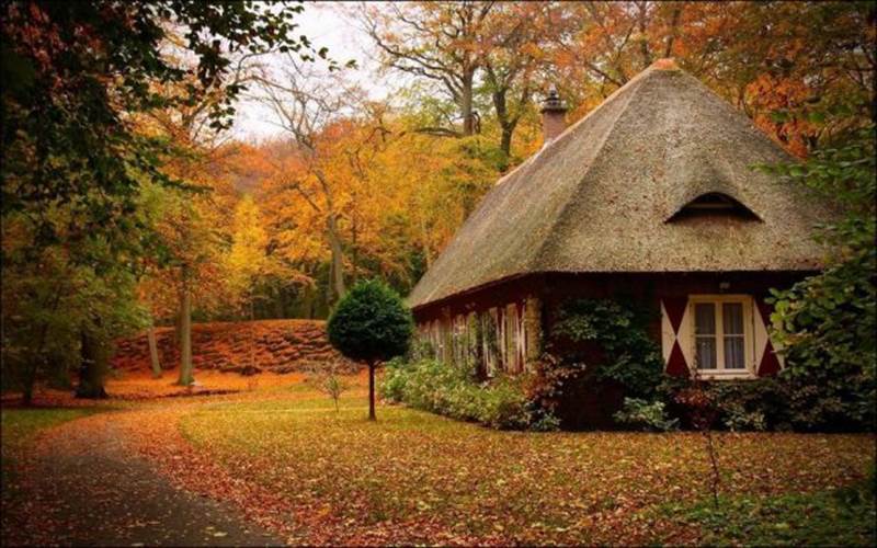 peaceful houses in the woods part2 13 Peaceful houses in the woods {Part 2}