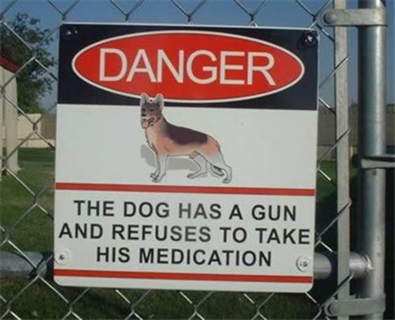Funny dog signs8 Funny dog signs