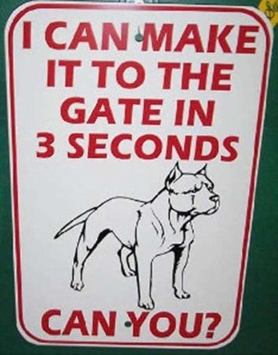 Funny dog signs11 Funny dog signs