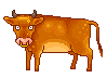 brown bull    animation