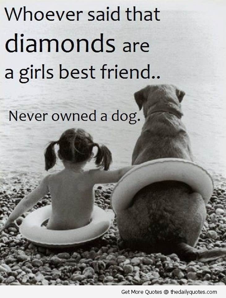 http://tailsofafostermom.files.wordpress.com/2013/01/diamonds-are-girls-bestfriends-never-owned-a-dog-cute-quote-picture.jpg