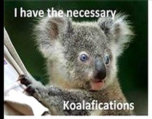Animal Puns Funny Animal Pictures With Words