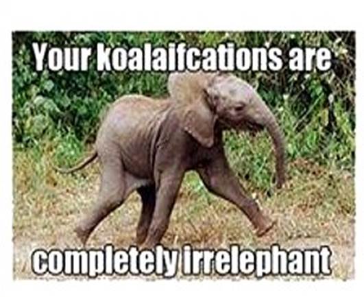 Animal Puns Funny Animal Pictures With Words