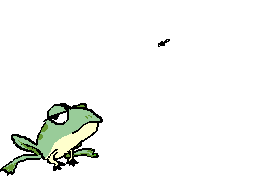 frog catching a fly  animation