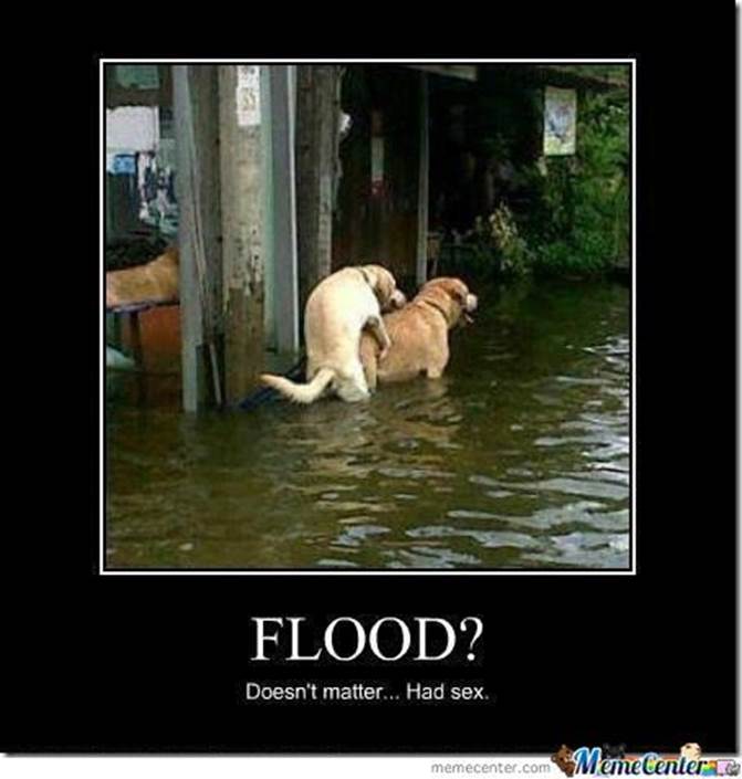 http://global3.memecdn.com/flood-what-flood_o_630579.jpg