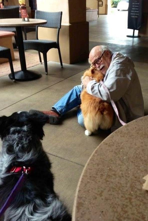 A corgi bringing joy to an elderly man she just met.
