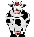 cow    animation