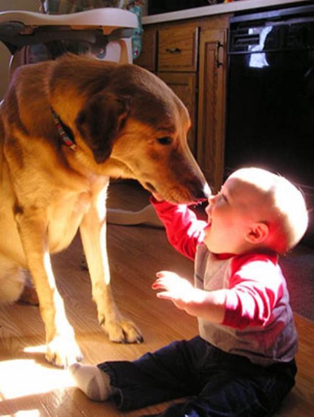 http://data1.whicdn.com/images/15445959/kids-animals-31_large.jpg
