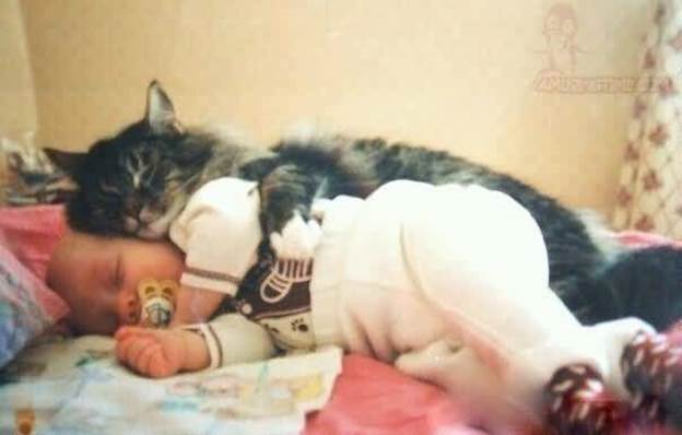 http://www.amusingtime.com/images/01/funny-animals-cat-sleeping-with-a-baby.jpg