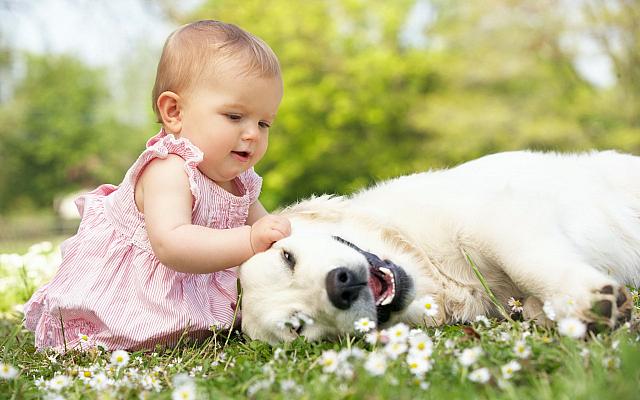 Lovely pets and babies play together wallpapers 1920x1200 (15)