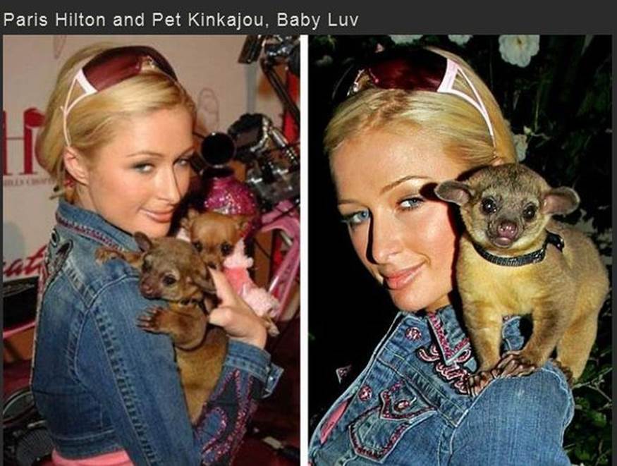 Celebs exotic pets8 Funny: Celebs with exotic pets