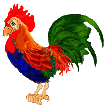 rooster animation