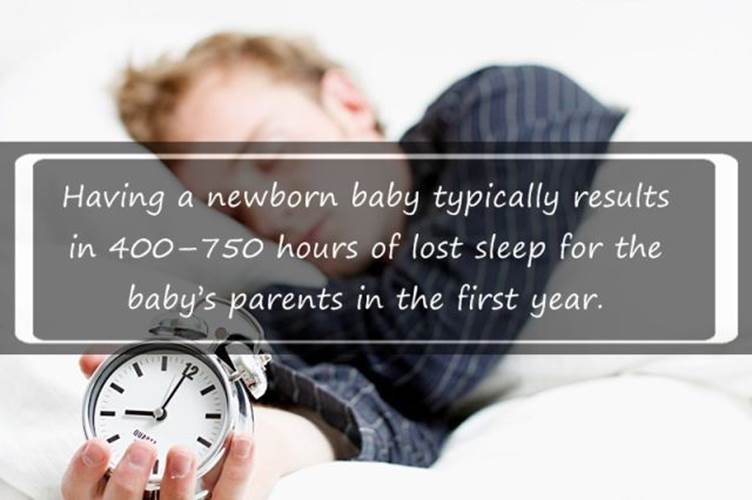 Sleep facts12 Funny: Sleep facts