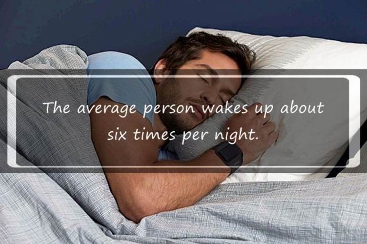 Sleep facts13 Funny: Sleep facts