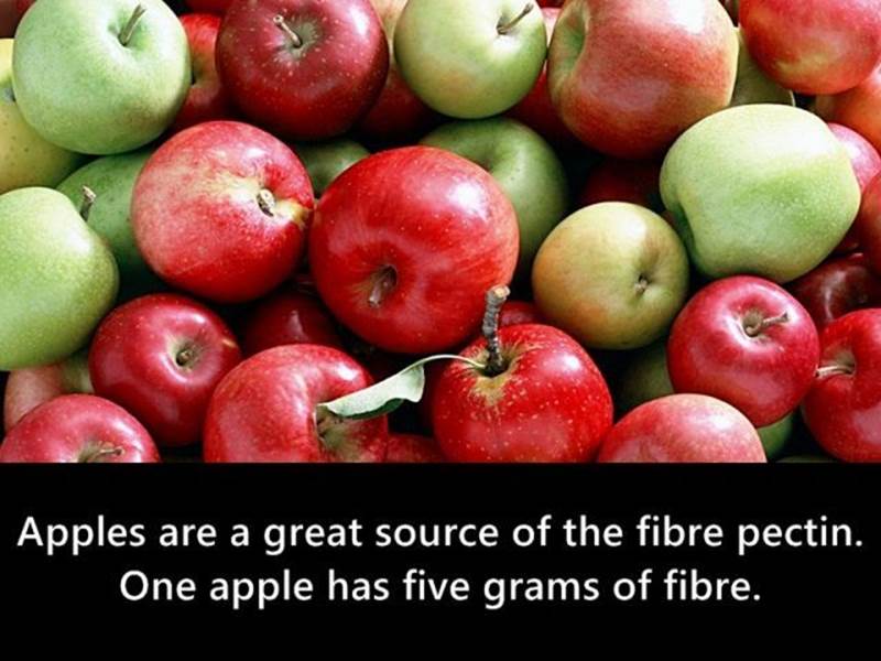 Interesting fruit facts3 Funny: Interesting fruit facts