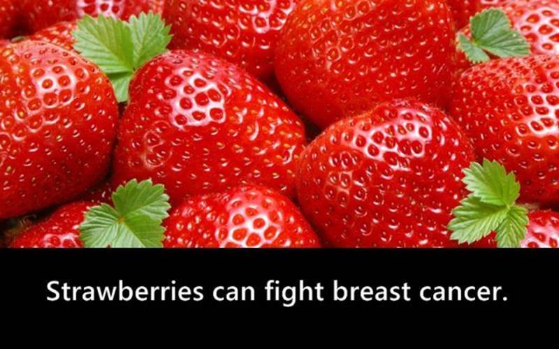 Interesting fruit facts6 Funny: Interesting fruit facts