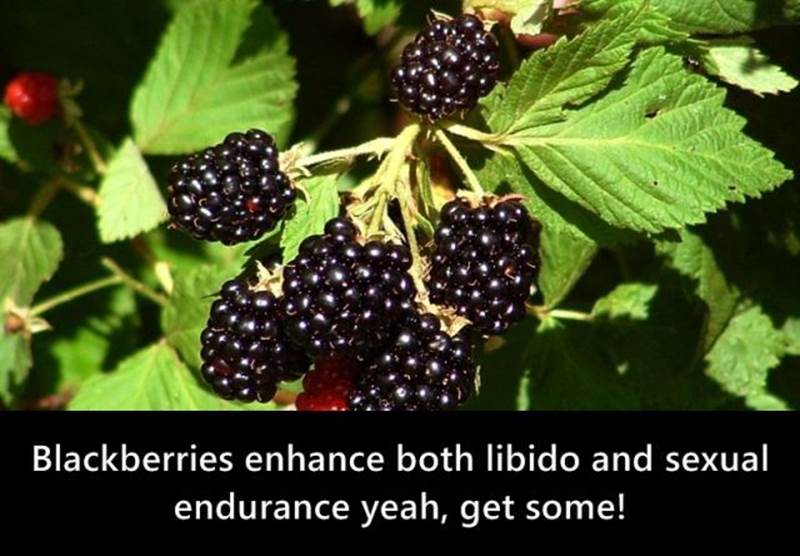 Interesting fruit facts7 Funny: Interesting fruit facts