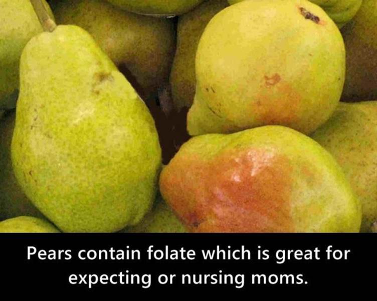 Interesting fruit facts16 Funny: Interesting fruit facts