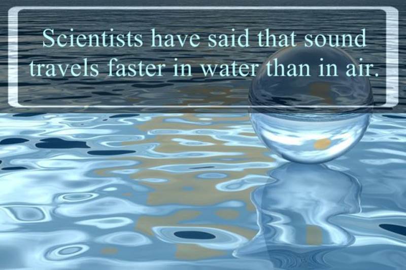 Interesting water facts7 Funny: Interesting water facts
