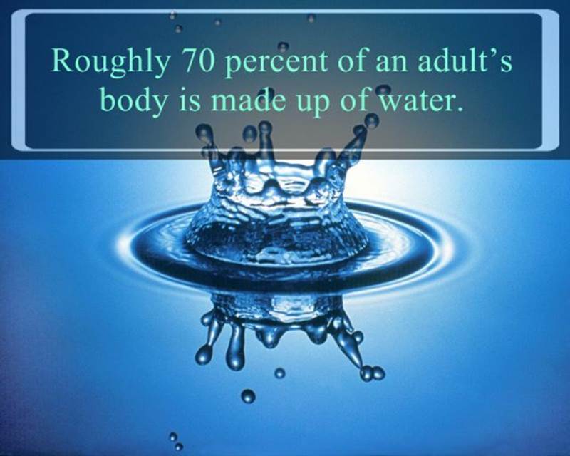 Interesting water facts8 Funny: Interesting water facts