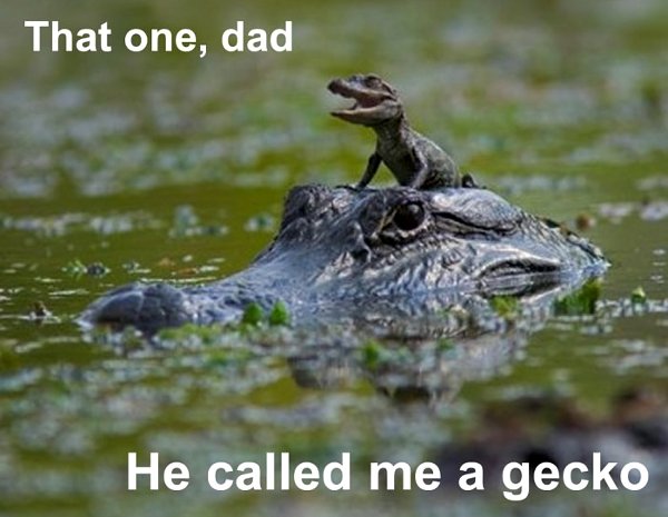 http://dailypicksandflicks.com/wp-content/uploads/2012/03/that-one-dad-he-called-me-a-gecko-funny-baby-crocodile-alligator.jpg