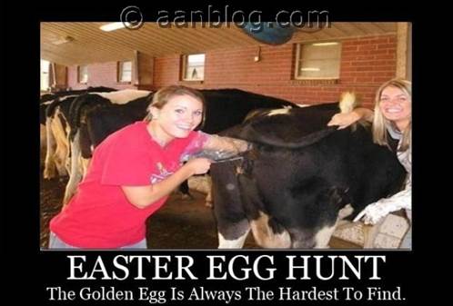 http://www.aanblog.com/wp-content/uploads/2012/12/Easter-Egg-hunt-Demotivational-poster-funny-picture-the-golden-egg-is-always-the-hardest-to-find.jpg