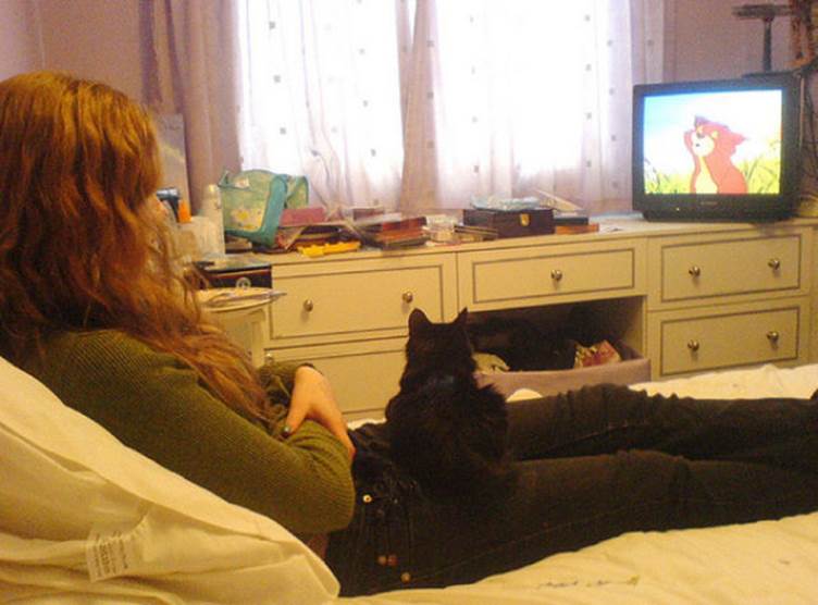 tv isnt just 640 11 Funny: Animals watching TV