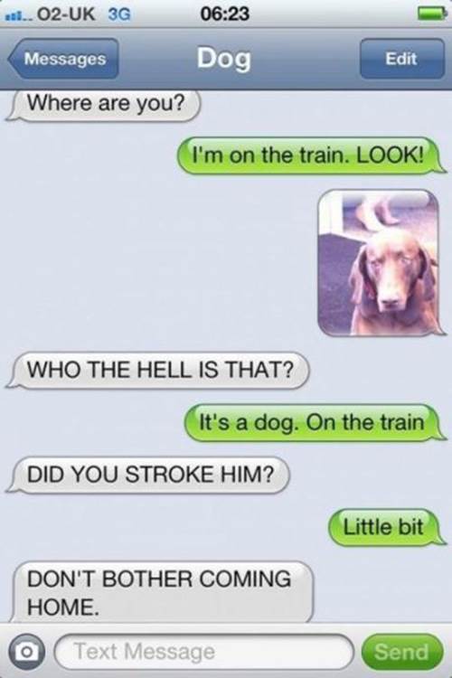 dog owner text messages part3 1 Funny: Dog & owner text messages {Part 3}