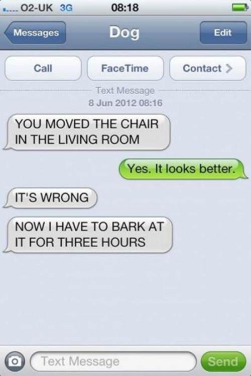 dog owner text messages part3 5 Funny: Dog & owner text messages {Part 3}