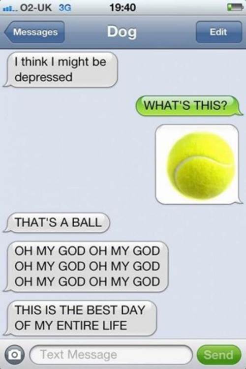 dog owner text messages part3 9 Funny: Dog & owner text messages {Part 3}