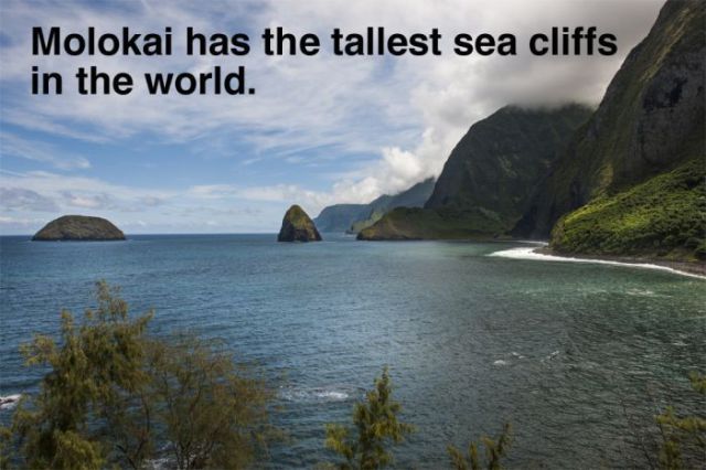 Funny Hawaii facts1 Funny Hawaii facts