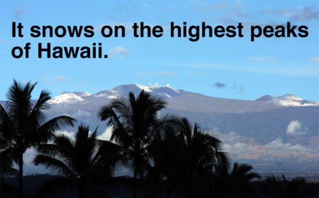 Funny Hawaii facts4 Funny Hawaii facts
