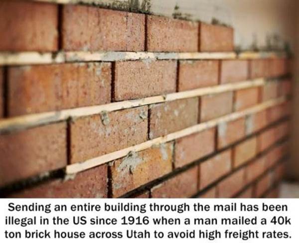 interesting facts pics part6 2 Funny: Interesting facts in pics {Part 6}