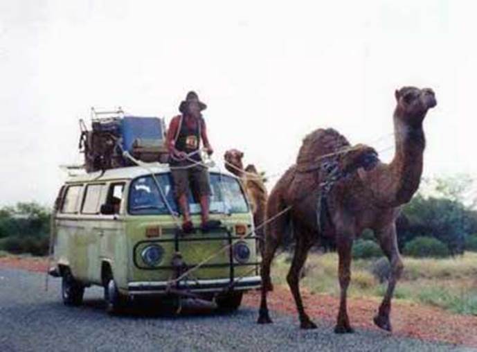 http://2.bp.blogspot.com/_jWNhyMUpjSE/R_6VzuSD5XI/AAAAAAAAAYg/4HpCy1JsAA8/s400/camel-toe-no-you-dirty-gits-i-mean-cameltow.jpg