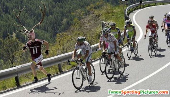 http://sportygifs.com/wp-content/uploads/2011/03/funny-sports-pictures-tour-de-france-antelope.jpg