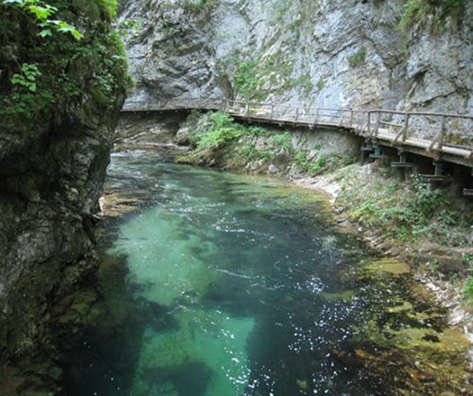 Vintgar_Gorge__Slovenia-Vintgar_Gorge-20000000001551181-500x375
