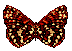  Butterfly Animation