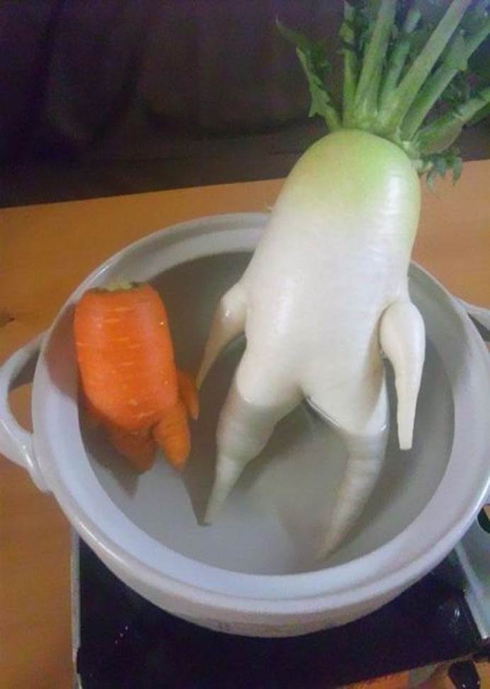 Cool vegetables14 Funny: Cool vegetables