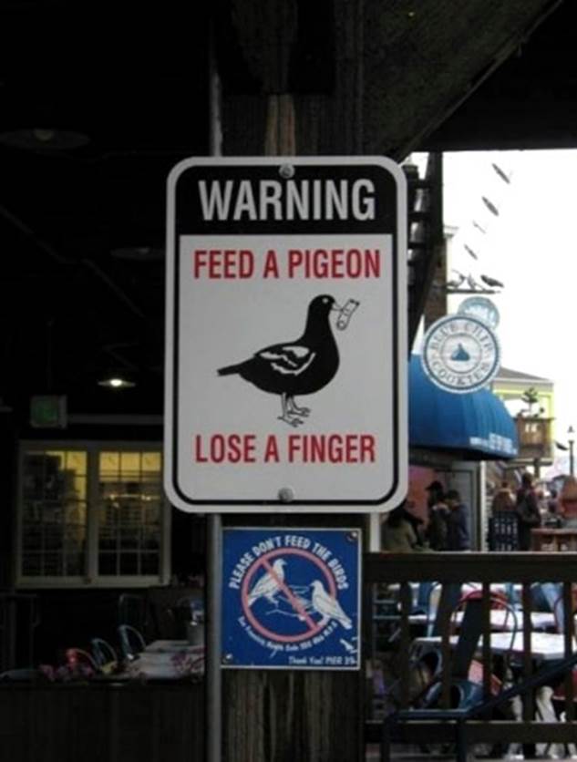 http://www.foundshit.com/pictures/signs/pigeon-warning.jpg