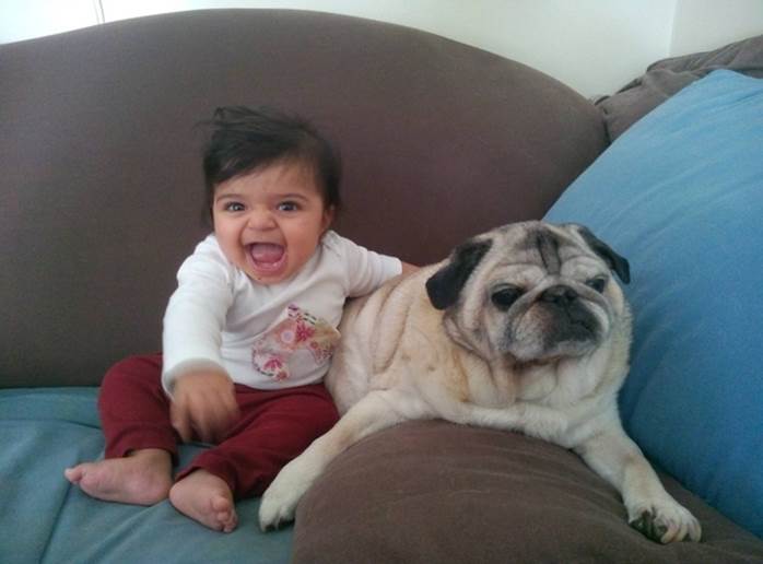 The happiest toddler in the world hanging out with a philosophical dog.