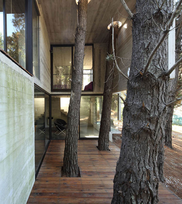 http://www.interiorholic.com/photos/architecture-preserving-trees-on-construction-site-1.jpg