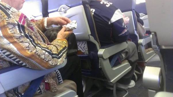 WTF airline passengers11 Funny: WTF airline passengers