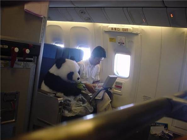 WTF airline passengers28 Funny: WTF airline passengers