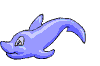 dolphin animations