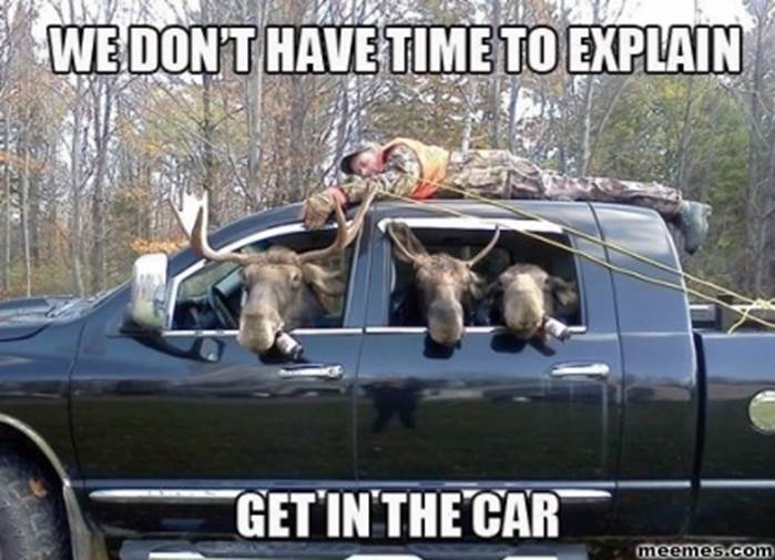 http://www.meemes.com/sites/default/files/styles/galleria_zoom-copy/public/moose-hunting-revenge-get-in-the-car-funny-animal-memes.jpg?itok=a1U3Rb2g