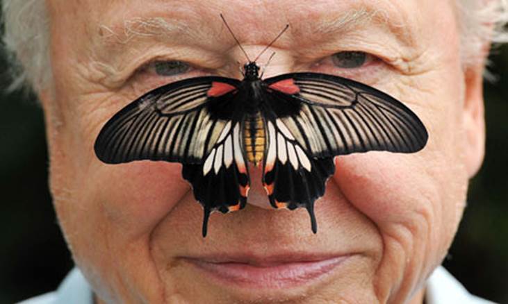 http://www.eauc.org.uk/image_uploads/butterfly-conservation-pr-008_large.jpg
