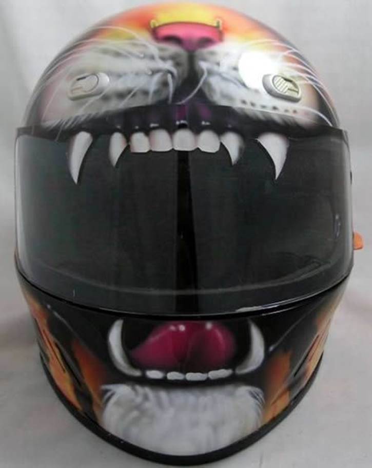 a405 h14 Funny Motorcycle Helmets