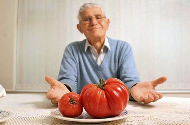 http://www.humorplanet.net/wp-content/uploads/2013/11/Giant-sized-vegetables-17.jpg