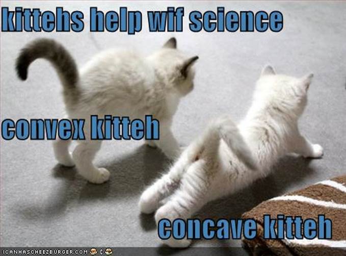 http://1.bp.blogspot.com/-A6Rwki_hqm4/UB6dNrJ1sGI/AAAAAAAAeDk/-oR6Iq3ibas/s1600/funny-pictures-kittens-demonstrate-concave-and-convex-shapes.jpg